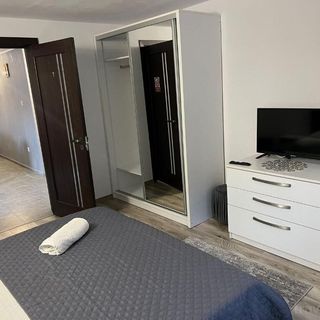 Casa Cernat Albac (3)