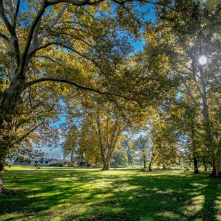 Kammerer Vendégház Kastélyosdombó (5)