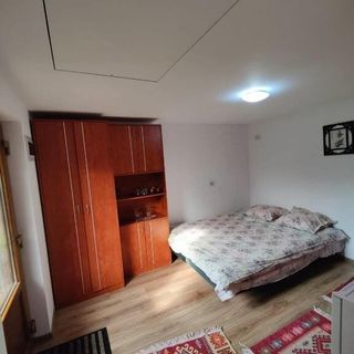 Casa Rustica Borșa (3)