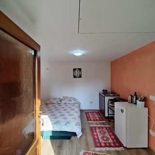 Casa Rustica Borșa (4)