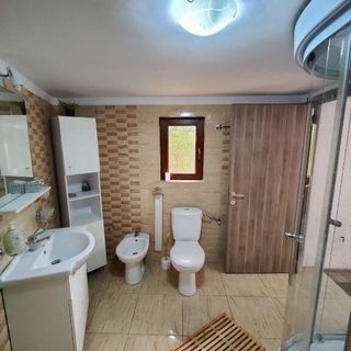 Casa Rustica Borșa (5)