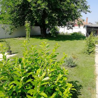 Zsuzsanna Vendégház Gyomaendrőd (2)