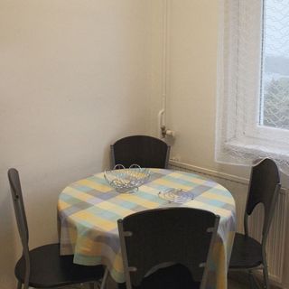 Nagyerdő Naplemente Apartman Debrecen (3)