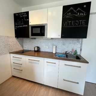 NEW Nelis Apartmán Klínovec Loučná pod Klínovcem (4)