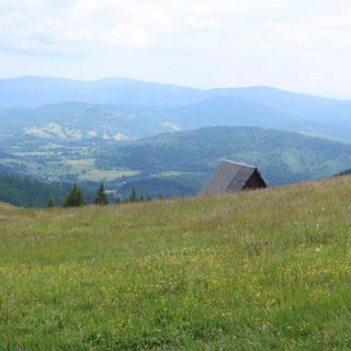 W deSki dom Krzyżowa (3)