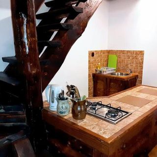 Apartamenty Pegazowa Wola Cisna (4)