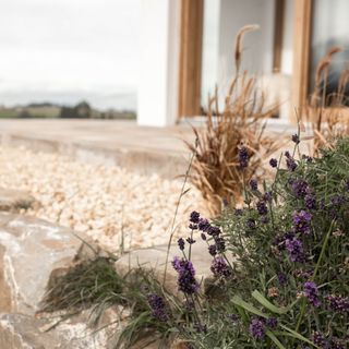 Domek Zagroda Rusiński Bukowina Tatrzańska (5)