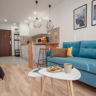 Apart Serwis Apartament U Chramca Zakopane (4)