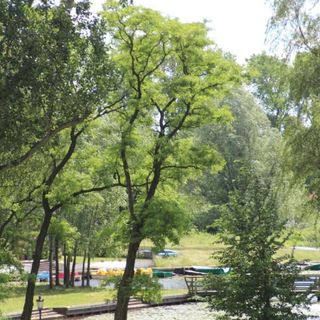 EGZOTYCZNA Bahia w Krainie Alicji (3)