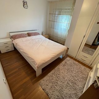 Pensiunea Izvorul Rece Hobița (5)