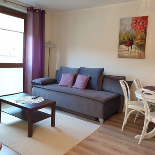 Apartamenty ABA Francuski Krynica-Zdrój (4)