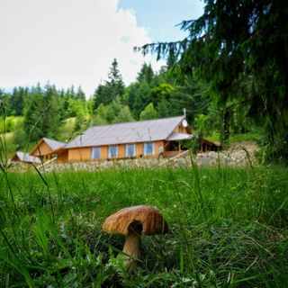 Cabana Dor de Apuseni Preluca (3)