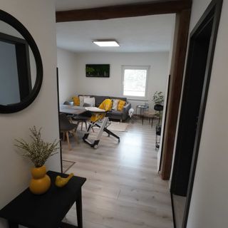 Apartmán Andrea Loučovice (2)