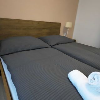 Apartmán Andrea Loučovice (3)