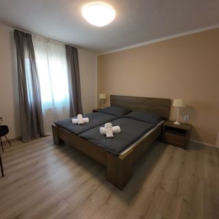 Apartmán Andrea Loučovice (4)