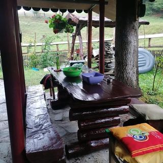 Cabana Barleanu Petroșani (5)