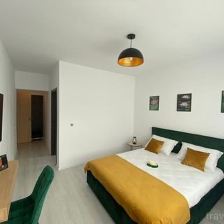 Casa Moga Sânmartin (5)