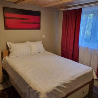 Wild Chalet Avram Iancu (5)