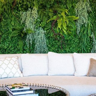 Hotel Branco Timișoara (2)