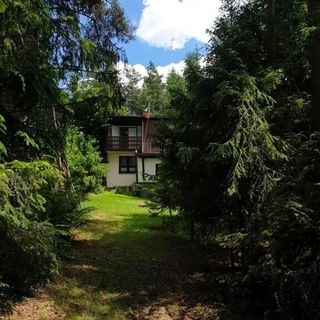 Leśne Zacisze - dom z kominkiem i balią (4)