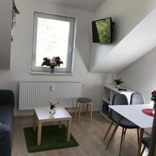 Mezonetový apartmán Isabela Loučná nad Desnou (4)