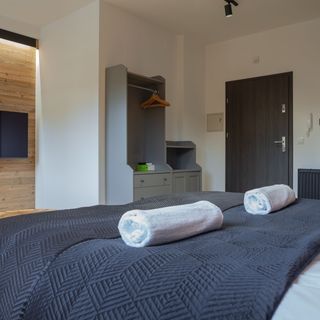 City Center Apartments Modern Loft 2 - Luxury Standard Krynica-Zdrój (5)