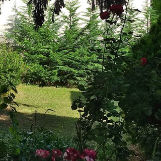 BudaWestHouse Budakeszi (3)