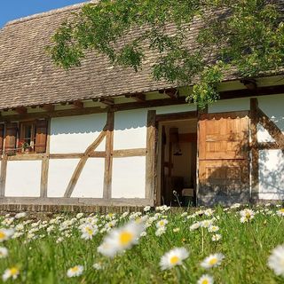 Vikli Vendégház Závod (3)