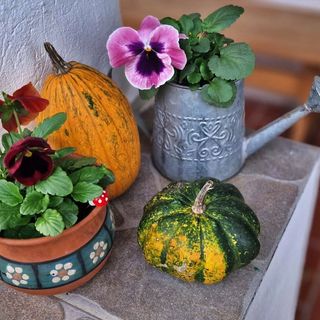 Zöld Kapu Vendégház Kőszegdoroszló (2)