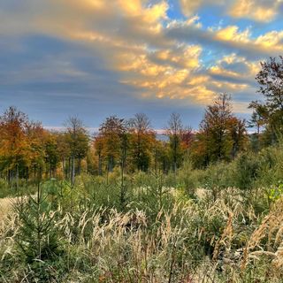 Zöld Kapu Vendégház Kőszegdoroszló (4)