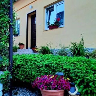 Rekreačný domček Judka Dedinky (3)