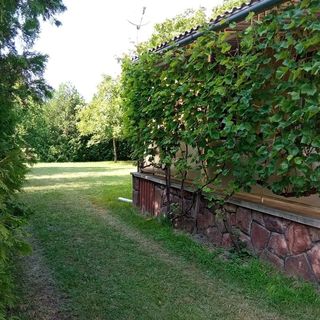 Oldschool Balaton Nyaraló Balatonfenyves (2)