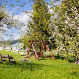 Domek Bogdanka Terka (2)