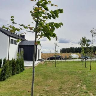 Willa nad Jeziorem Iława (3)