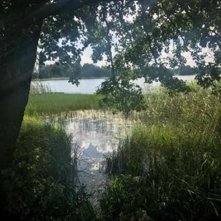 Ośrodek Wypoczynkowy Borowiak (4)