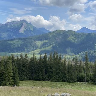 Apartamenty u GIEWONTA Zakopane (2)