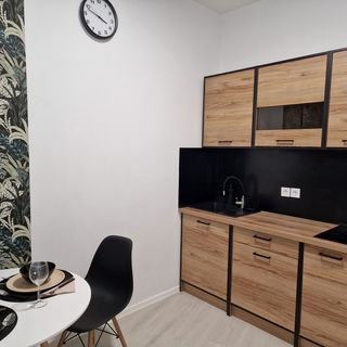 Schmidt Apartman Miskolc (2)