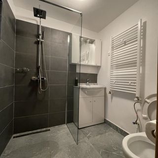 Casa Lupilor Transfăgărășan Arefu (2)