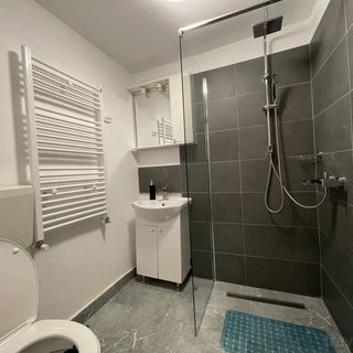 Casa Lupilor Transfăgărășan Arefu (4)