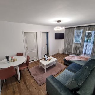 Apartament Feels Like Home Târgu Mureș (5)