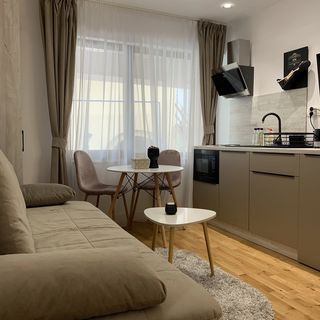 MM Apartments Nature&Romance Brașov (2)