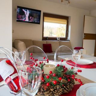 Chata Pod Górką Wisła (5)