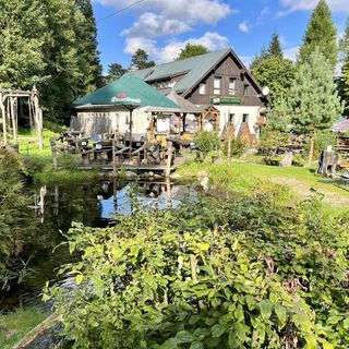 Restaurace a Pension Pod Čerťákem Harrachov (4)
