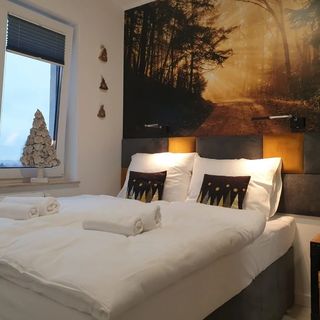 Apartament Zaczarowany Las - 5D Apartamenty Świeradów-Zdrój (4)