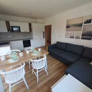 Apartmány Malé Lipno Černá v Pošumaví (5)