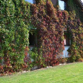 Dom Na Pstrążnicy (4)