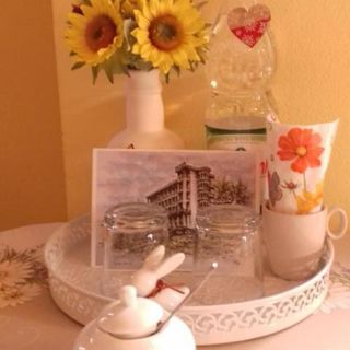 Willa Antidotum Krynica-Zdrój (3)