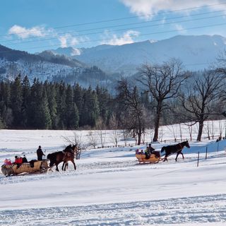 ECO Domek z dużym ogrodem i widokiem Murzasichle (3)