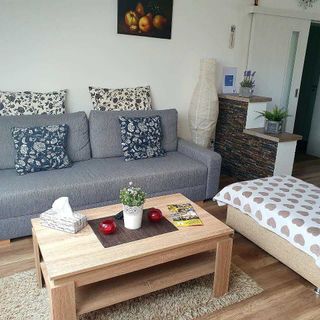 Ubytování U Špačků Pálava Novosedly (3)