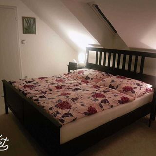 Ubytování U Špačků Pálava Novosedly (5)